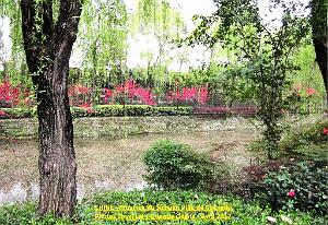 Chengdu avril 2017 - 017